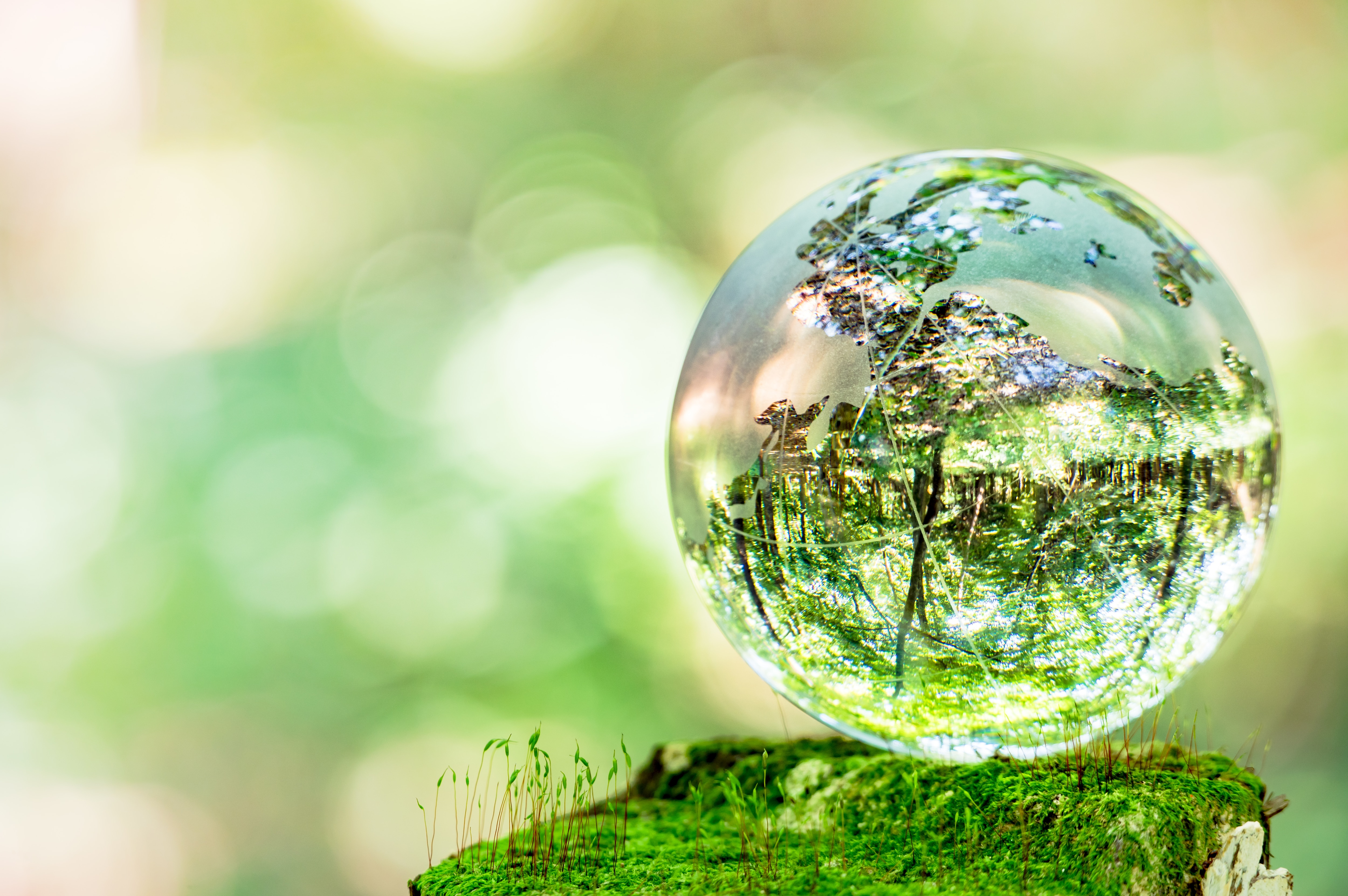 Sustainability